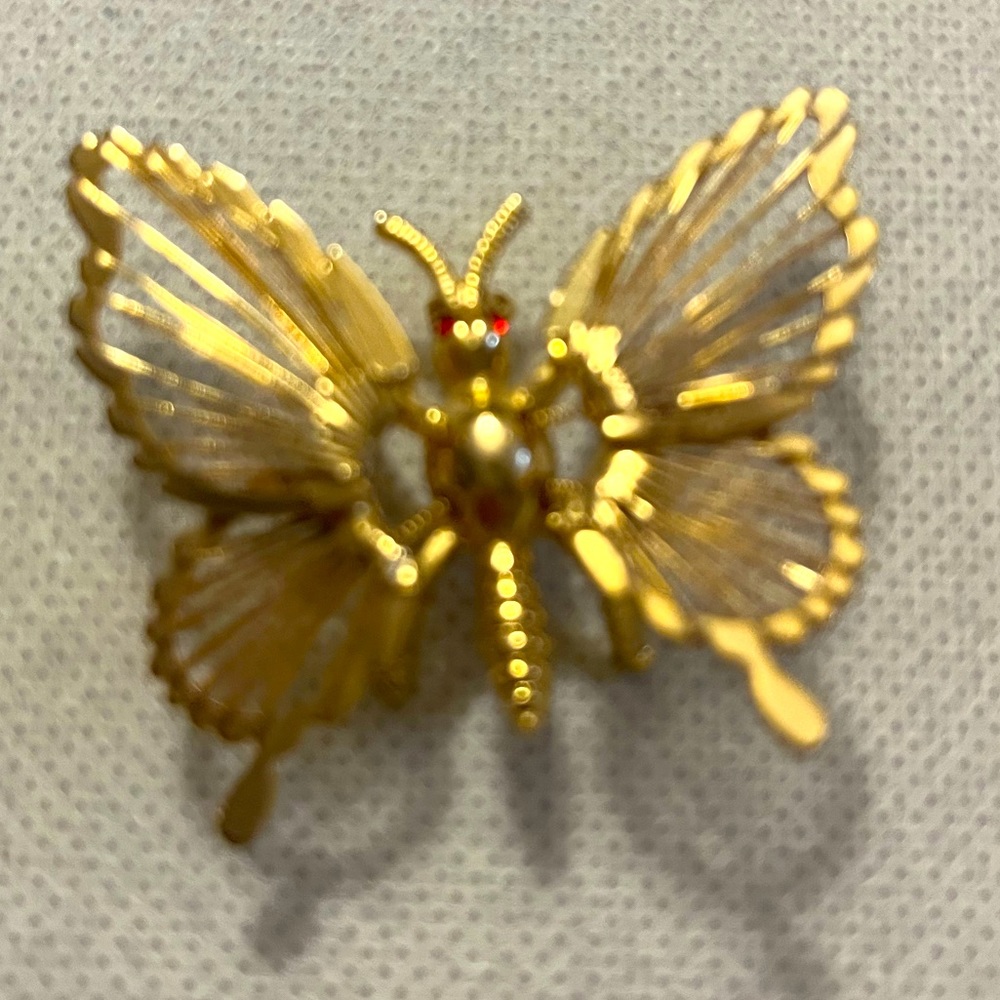 Butterfly brooch